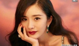 杨幂爆料网红事件视频播放,揭秘背后真相与争议